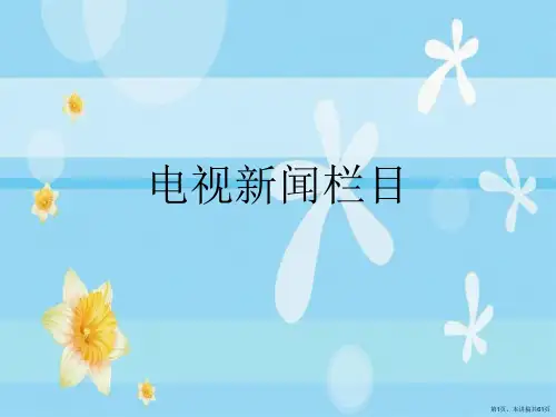 电视新闻栏目