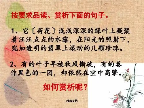 初中中考语文语句赏析专题讲解复习课件.ppt