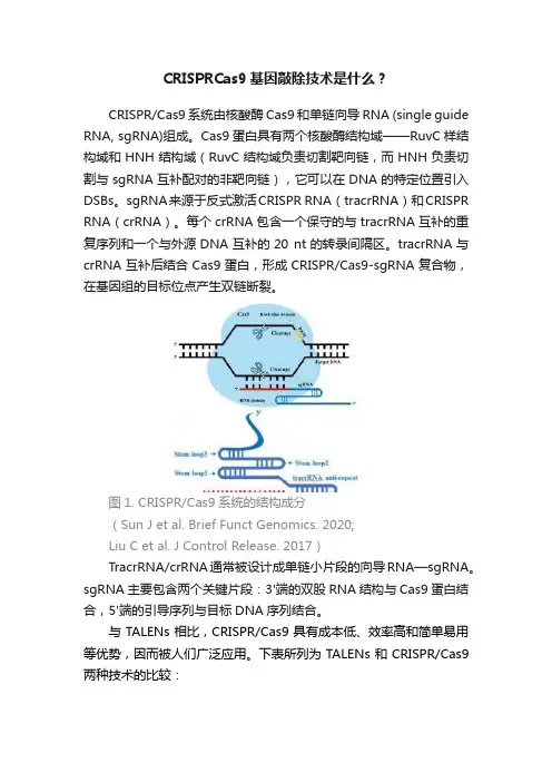 CRISPRCas9基因敲除技术是什么？