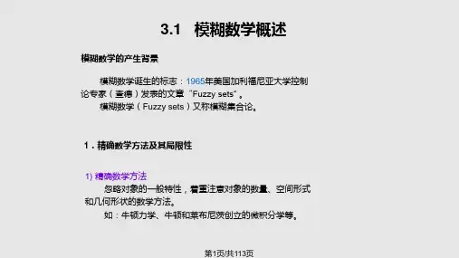 模糊模式识别PPT课件