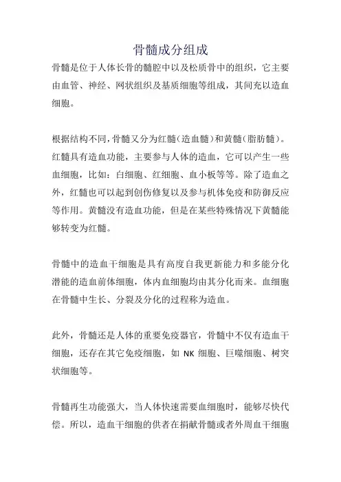 骨髓成分组成