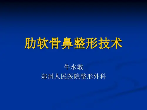 肋软骨鼻整形技术.pptppt课件