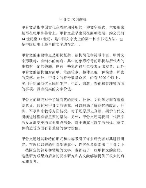 甲骨文 名词解释