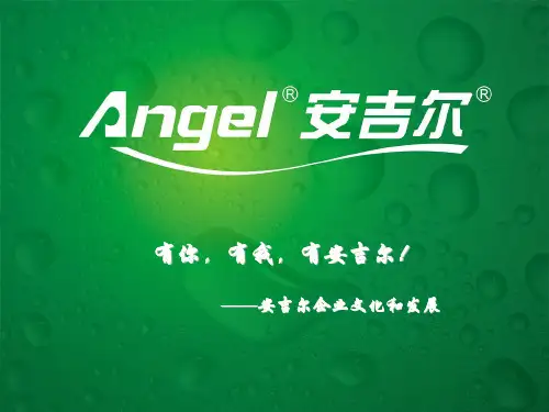 6-1安吉尔(基础部分)