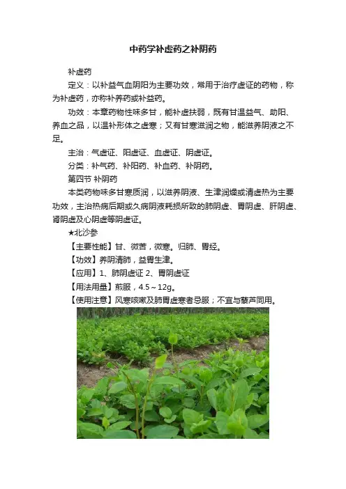 中药学补虚药之补阴药