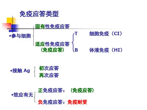 免疫耐受与免疫调节_PPT幻灯片
