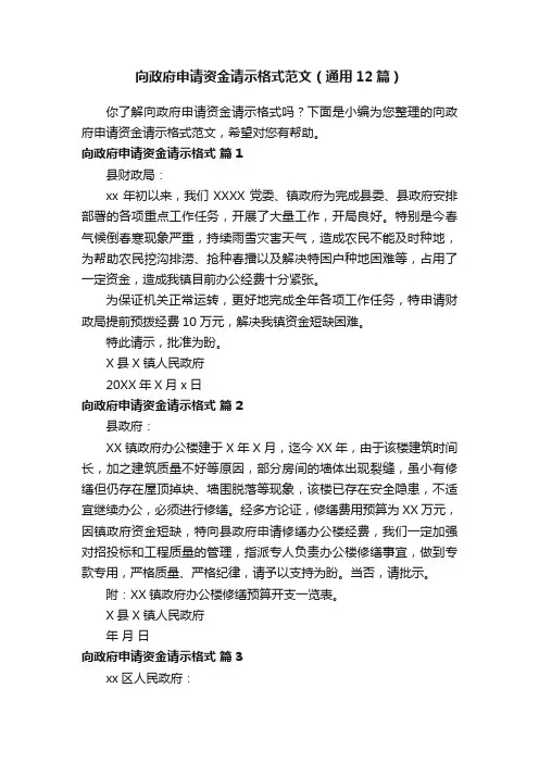 向政府申请资金请示格式范文（通用12篇）