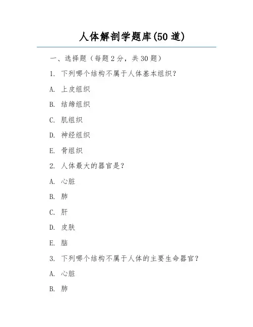 人体解剖学题库(50道)