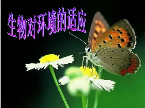 生物与非生物环境之间的关系