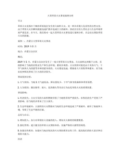 大型草原火灾事故案例分析