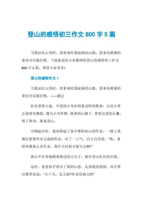 登山的感悟初三作文800字5篇