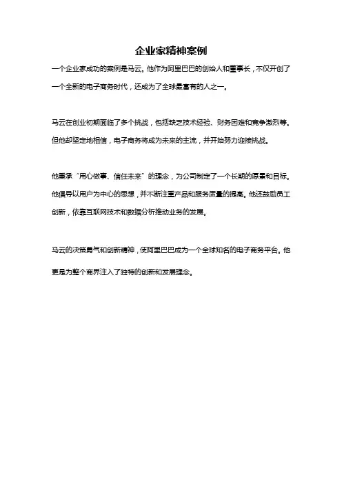 企业家精神案例
