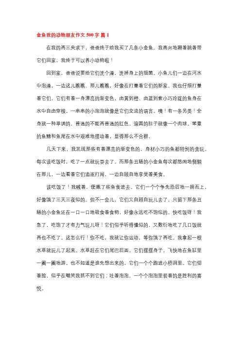 我的动物朋友500字作文小金鱼