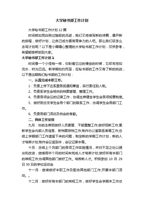 大学秘书部工作计划12篇