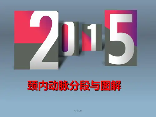 颈内动脉分段与图解