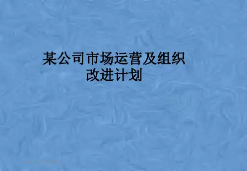 某公司市场运营及组织改进计划