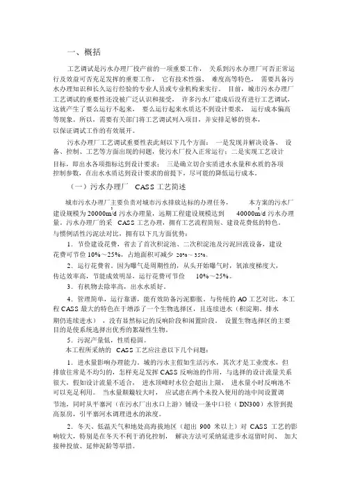 CASS工艺调试方案
