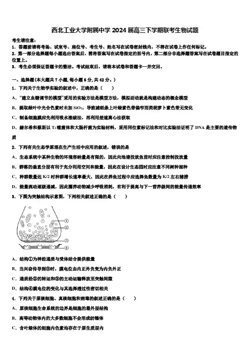 西北工业大学附属中学2024届高三下学期联考生物试题含解析