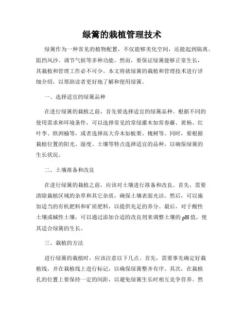 绿篱的栽植管理技术