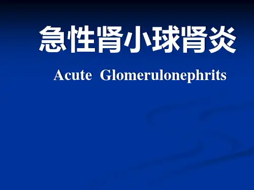 儿科学急性肾小球肾炎精品PPT课件