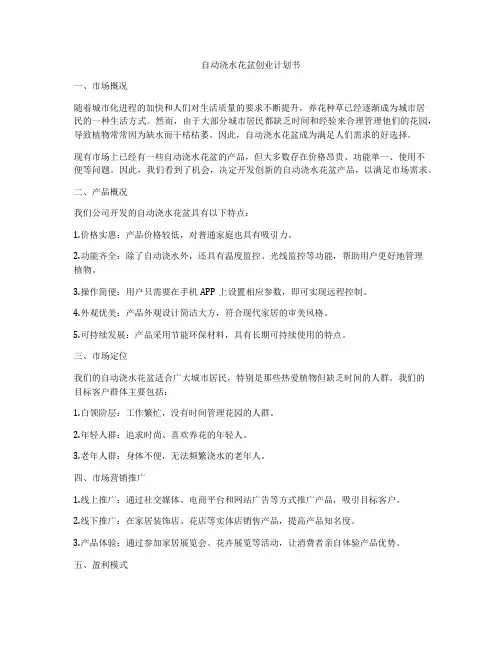 自动浇水花盆创业计划书