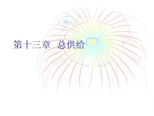 宏观经济学第13章