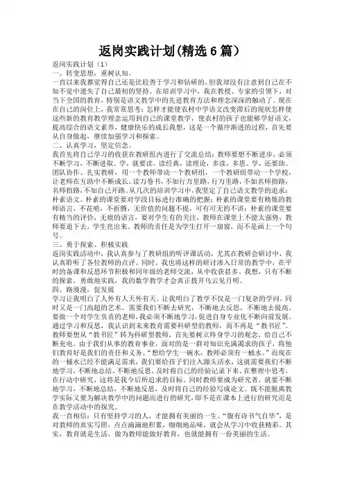 返岗实践计划(精选6篇)