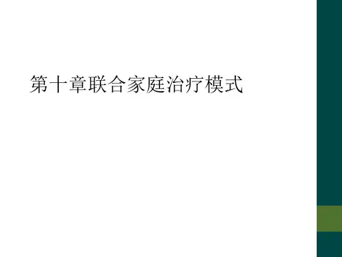 第十章联合家庭治疗模式