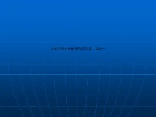 人体需要的热能和营养素篇、模块一