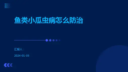 鱼类小瓜虫病怎么防治