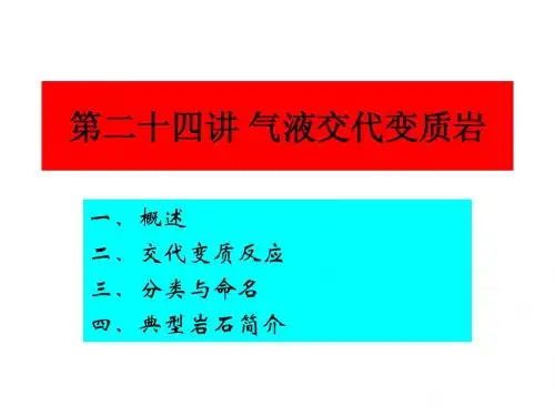 09 第二十四讲 气液交代岩