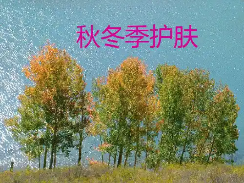 秋冬季护肤 PPT课件