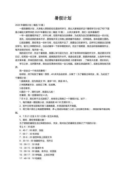 2020年暑假计划（精选10篇）