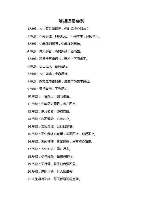 爷叔语录集数-概述说明以及解释