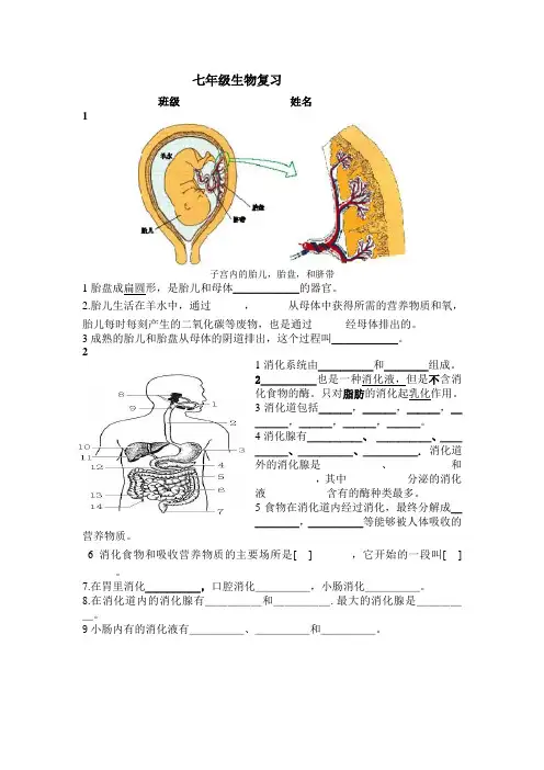 七年级生物下册期末看图专项复习