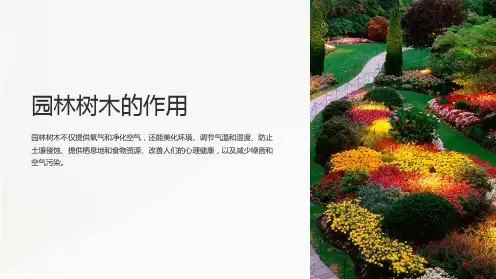 园林树木的作用