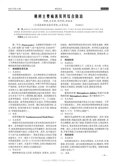 桃树主要病害及其综合防治