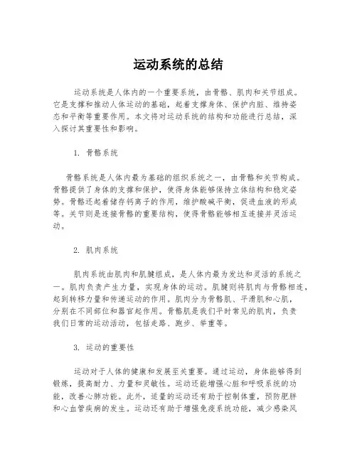 运动系统的总结