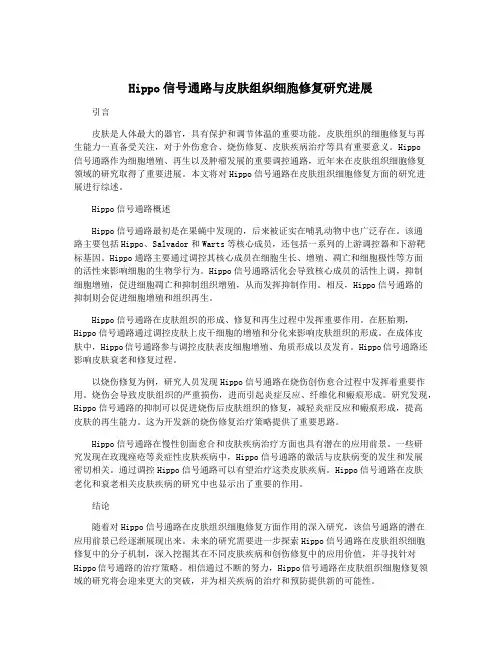 Hippo信号通路与皮肤组织细胞修复研究进展
