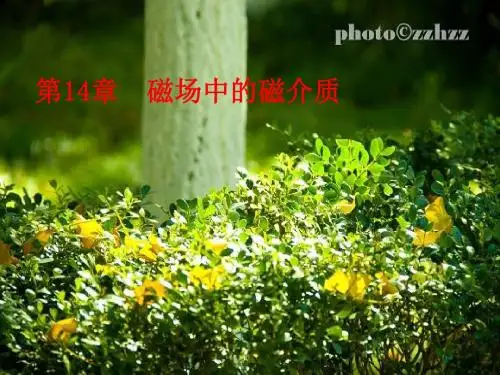 磁介质