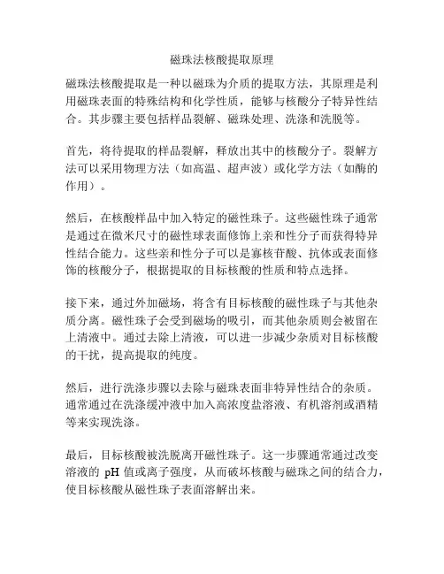 磁珠法核酸提取原理