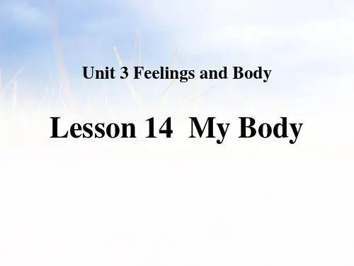 《My Body》英语PPT课件(7篇)