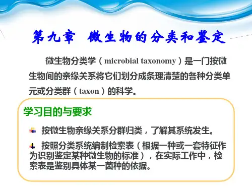 《微生物学》第9章 微生物的分离与鉴定