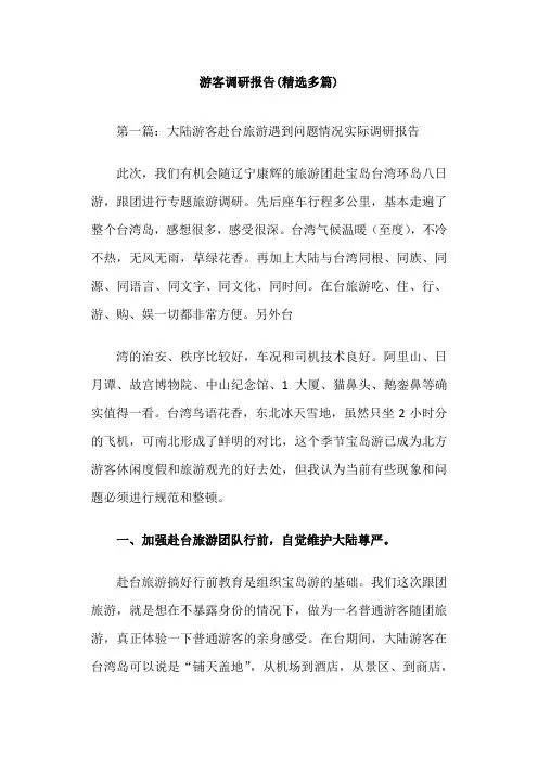 游客调研报告