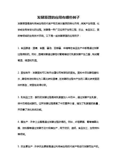 发酵原理的应用有哪些例子