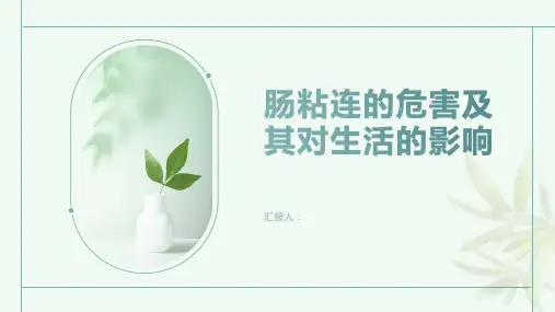 肠粘连的危害及其对生活的影响重要的信息你不能忽视