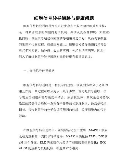 细胞信号转导通路与健康问题