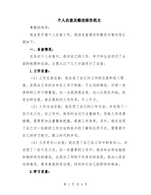 个人自查及整改报告范文