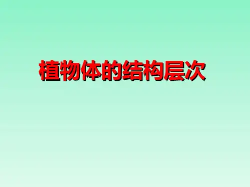 植物体的结构层次 (3)