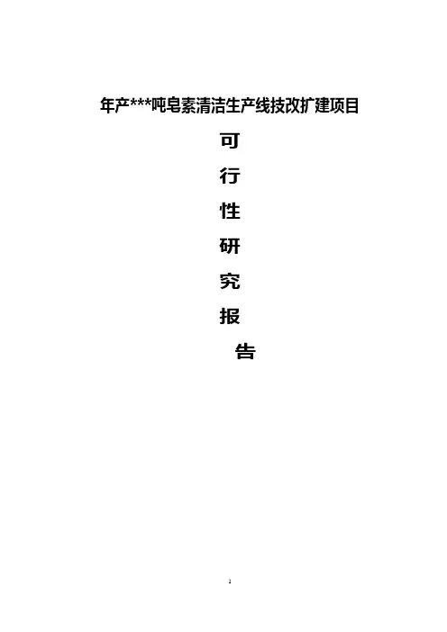 皂素清洁生产线技改扩建项目可行性研究报告